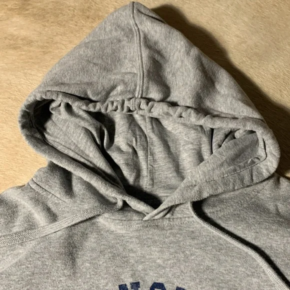 Mens WASHINGTON D.C. United States Nations Capital Gray HOODIE Sweatshirt - Picture 3 of 14